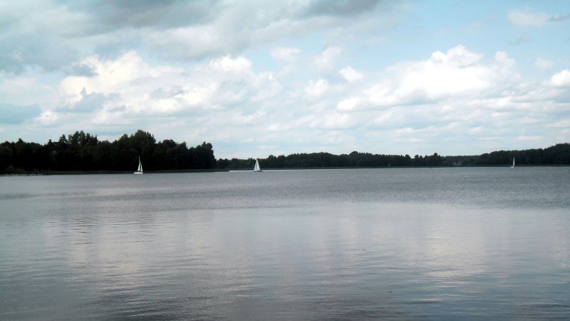 Woda w jeziorze Wigry jest czysta. Są wynik badań