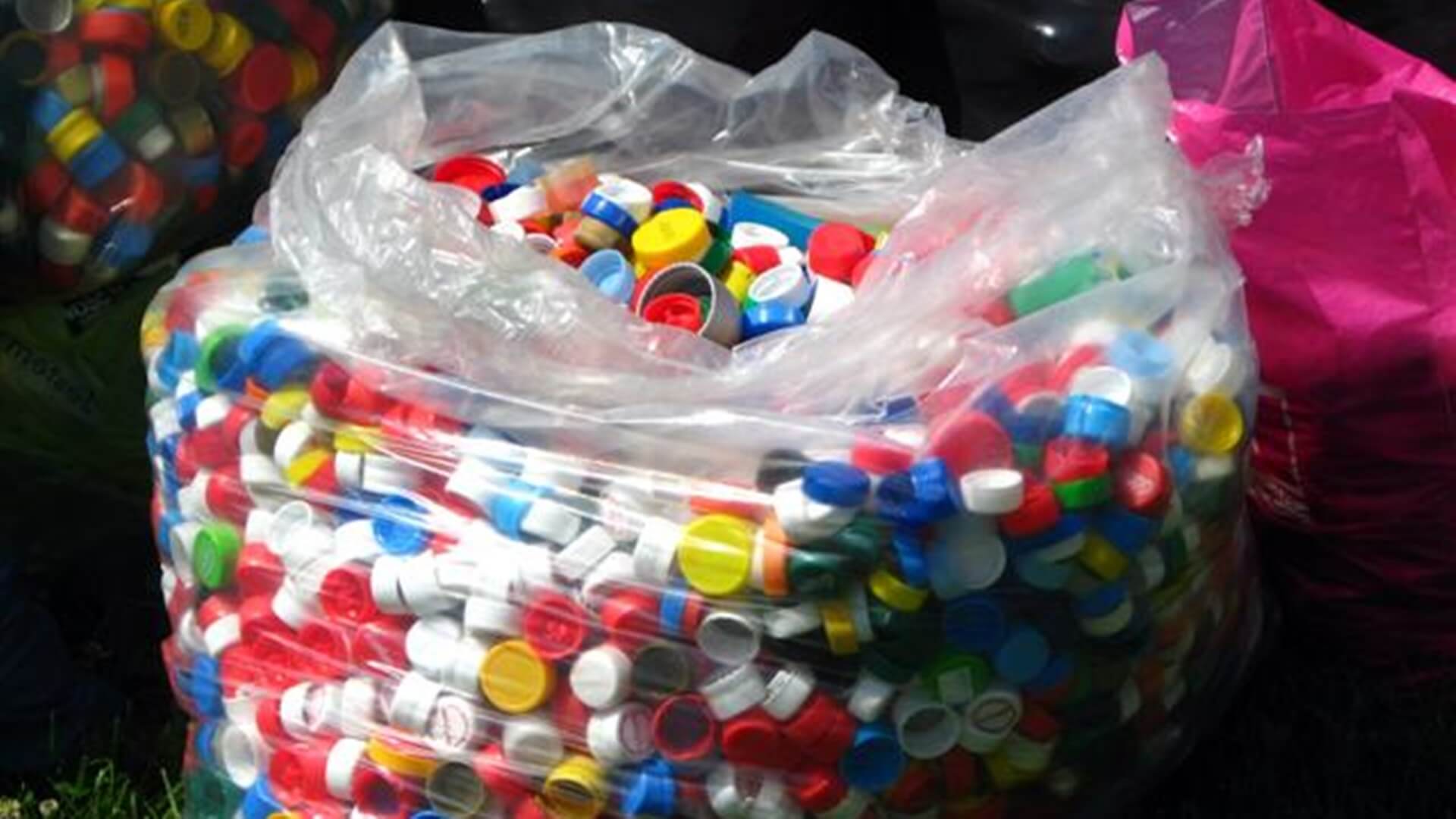 W Dąbrowie Białostockiej za torbę plastikowych nakrętek można otrzymać sadzonkę dębu