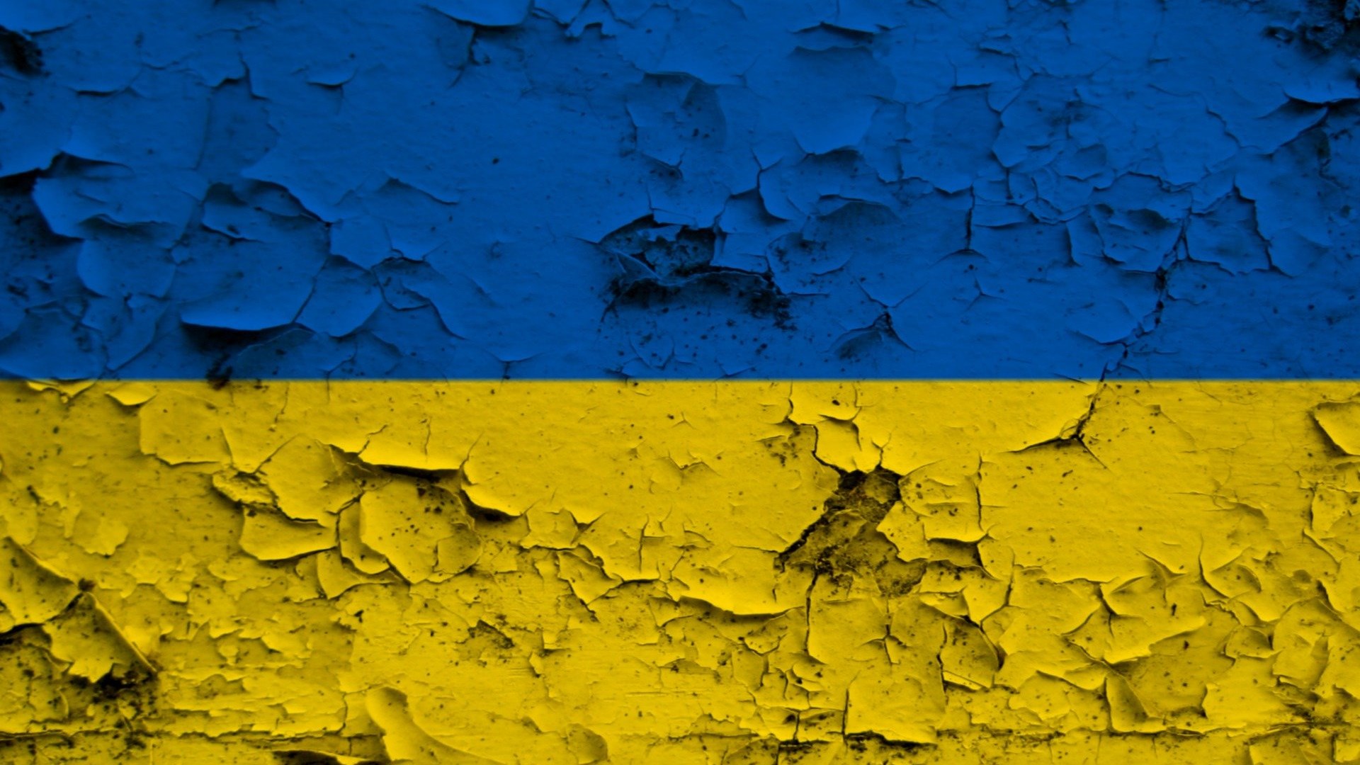 Ukrainki mieszkające w Supraślu chcą uszyć siatki maskujące dla żołnierzy - potrzebne są materiały