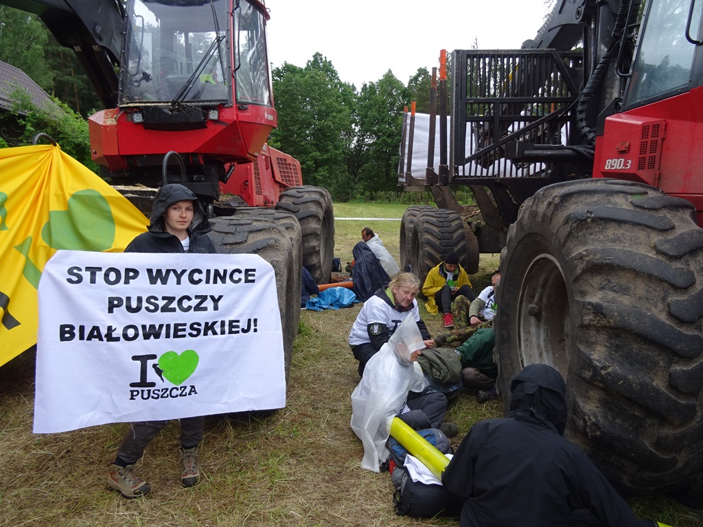 Osoby obwinione o blokowanie sprzętu do wycinki drzew w Puszczy Białowieskiej winne, ale bez kary
