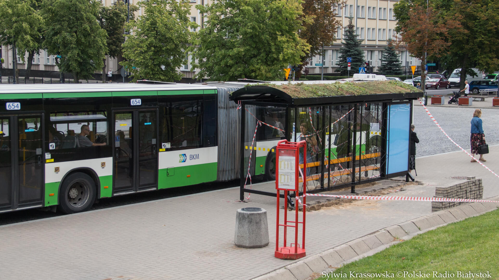 Białostockie zielone przystanki najpiękniejsze w Polsce