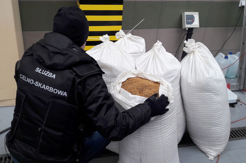 Celnicy przechwycili 100 kg tytoniu bez znaków skarbowych akcyzy