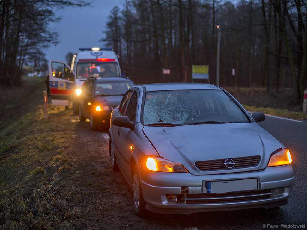 Śmiertelny wypadek k. Łomży na DK61 - nie żyje 13-letnia dziewczynka