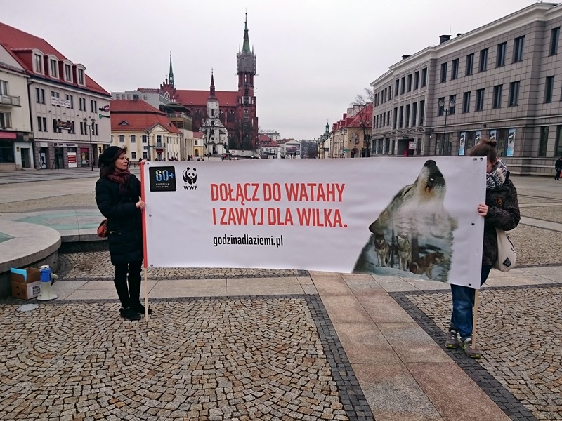 Białystok:  W ramach godziny dla ziemi - "zawyli" dla wilków