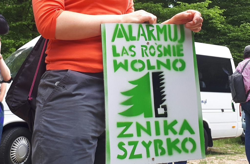 Są apelacje w procesie protestujących w Puszczy Białowieskiej