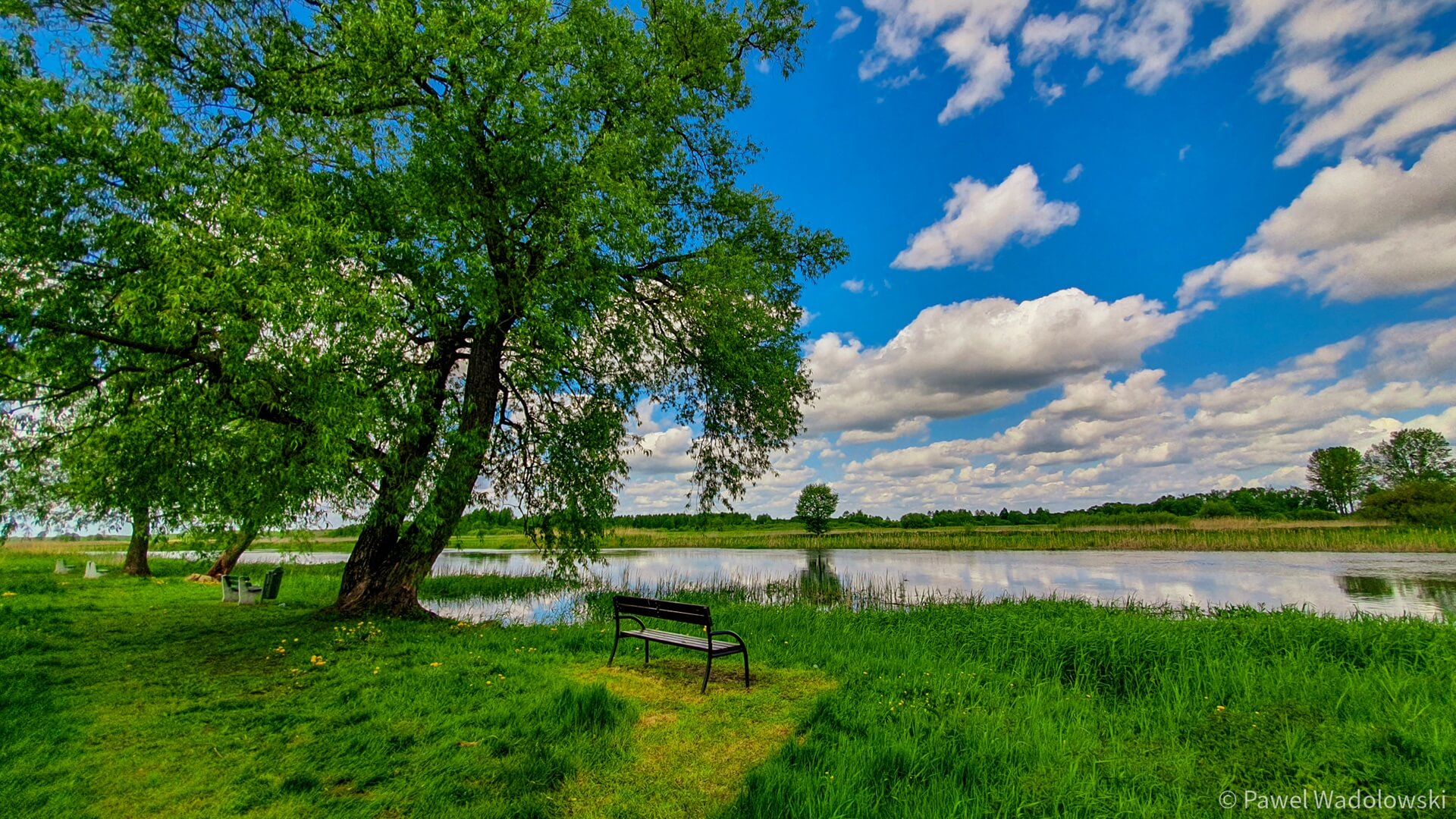 Europejski Dzień Parków Narodowych