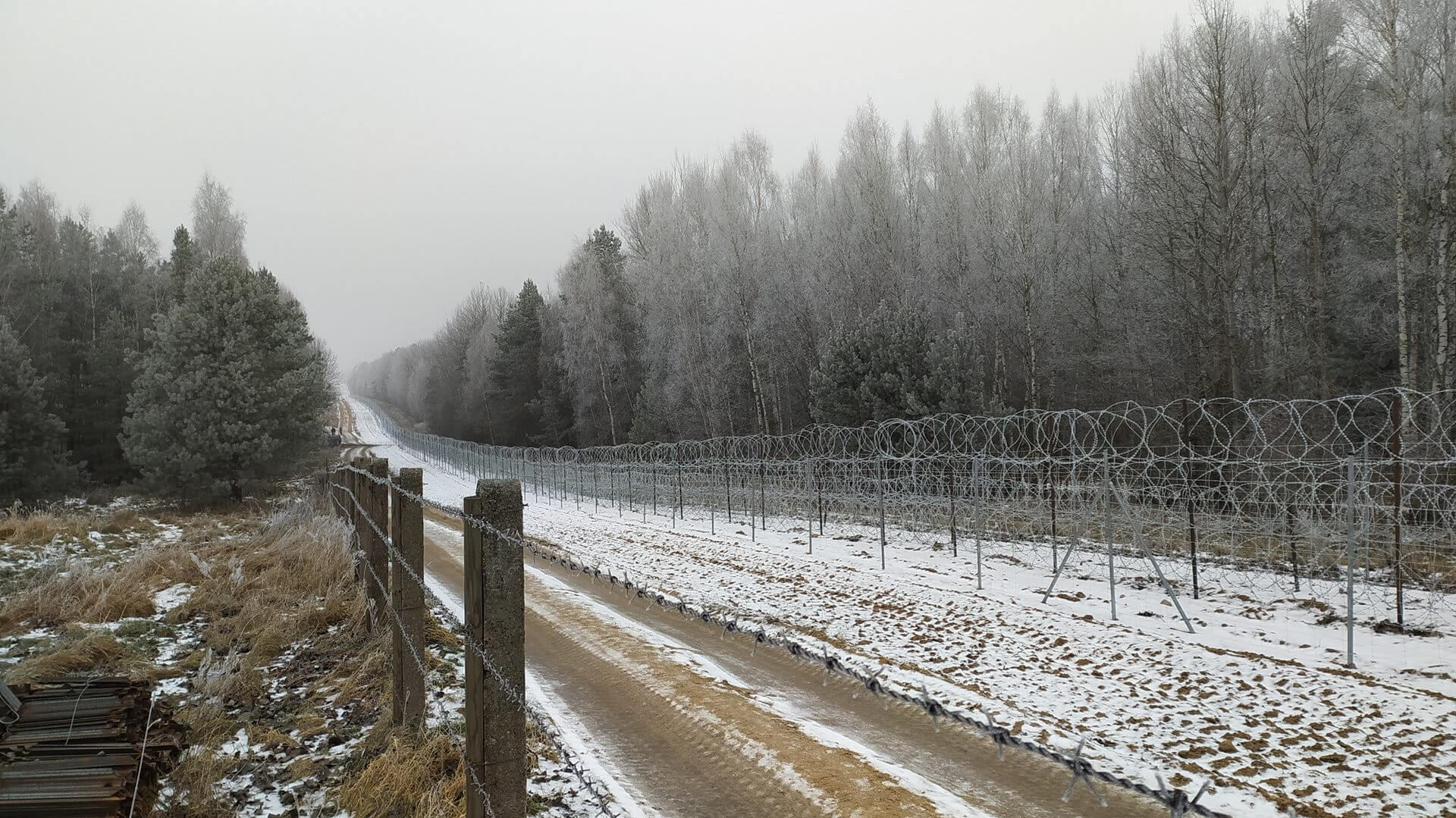 50 osób próbowało minionej doby przekroczyć granicę polsko-białoruską