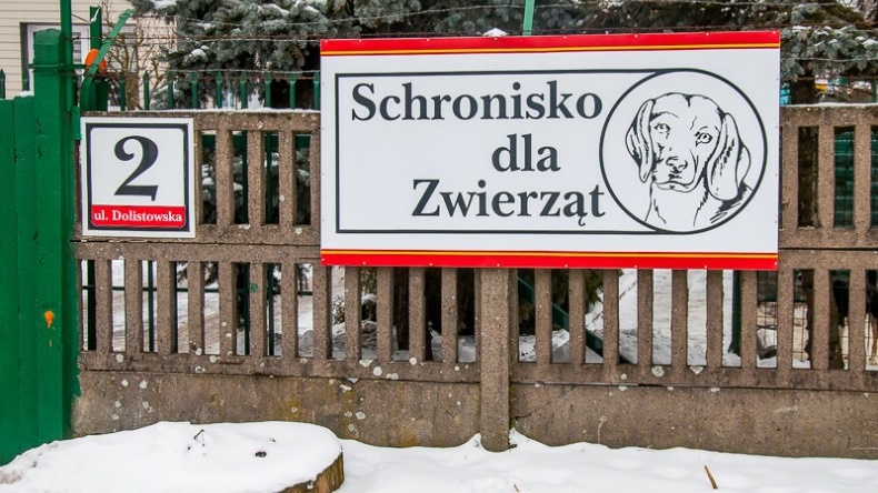 Białostockie Schronisko dla Zwierząt ogłosiło konkurs na nazwę placówki