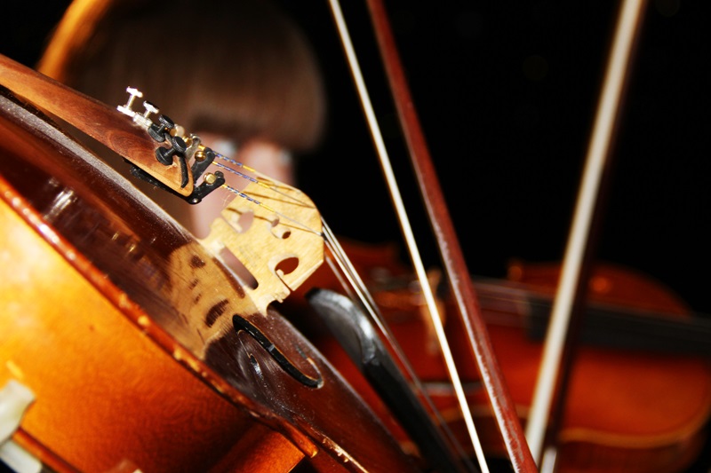Region:  Inauguracja Letniej Filharmonii Aukso