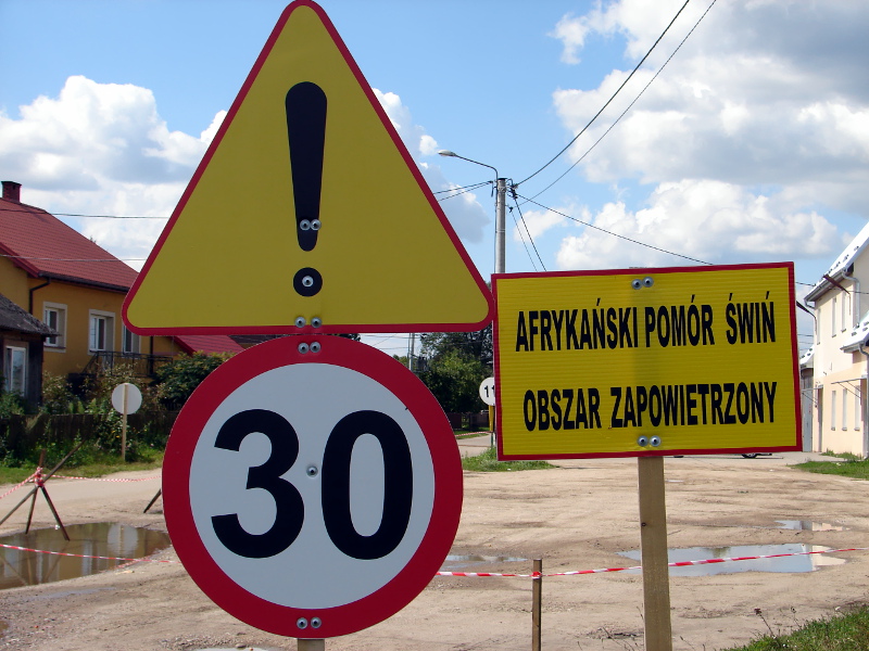 Do zwalczania ASF może być włączone wojsko