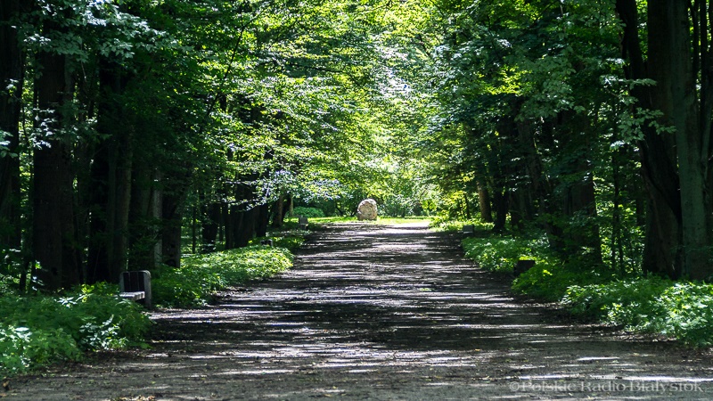 Mieszkańcy Białegostoku sprzątali las Zwierzyniecki