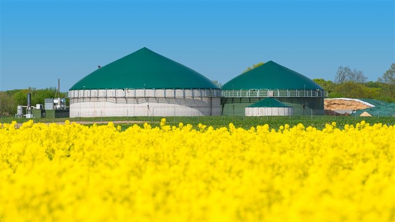 Władzom Kolna nie udało się rozstrzygnąć przetargu na budowę biogazowni