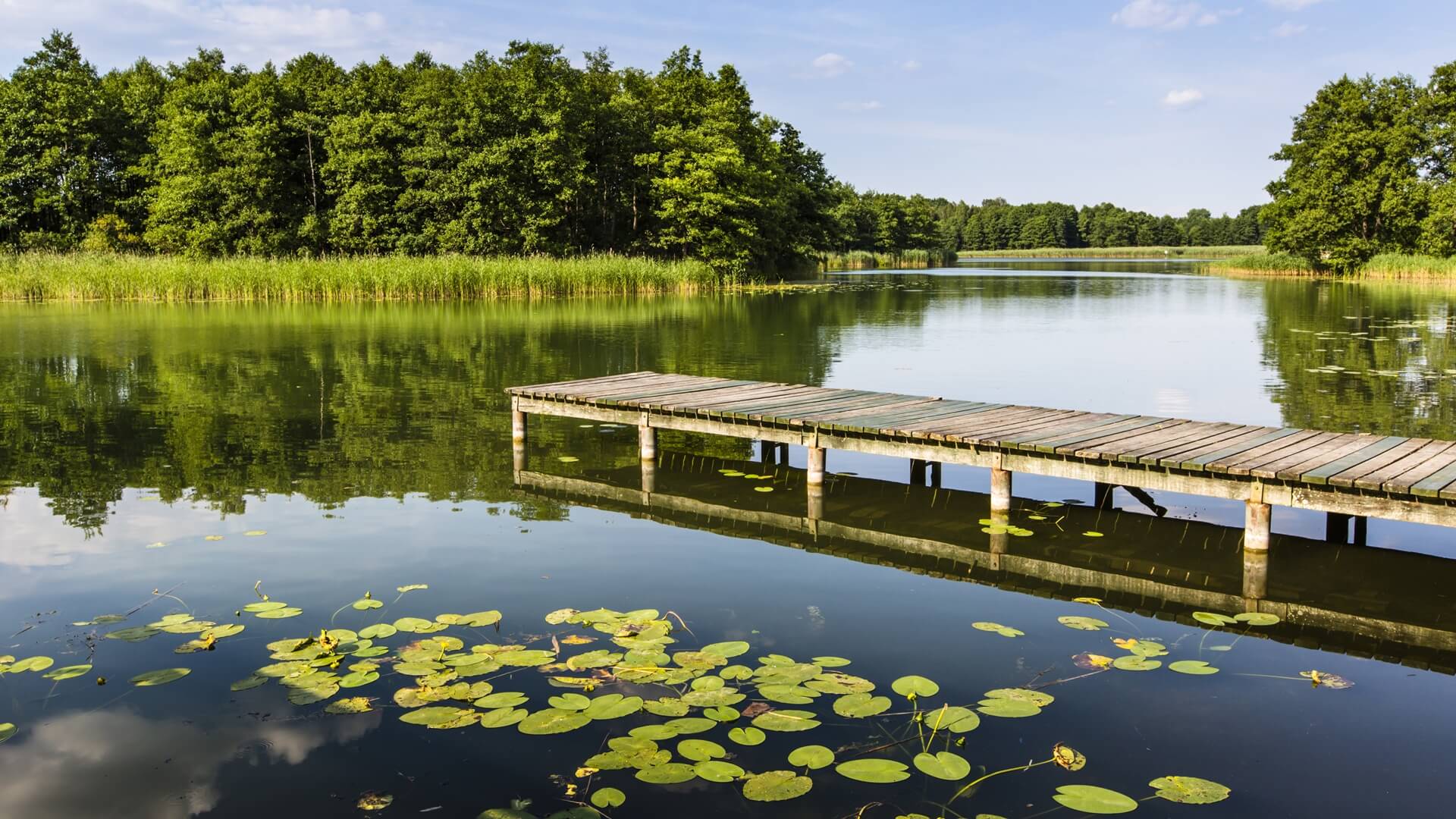 Majówka nad Wigrami