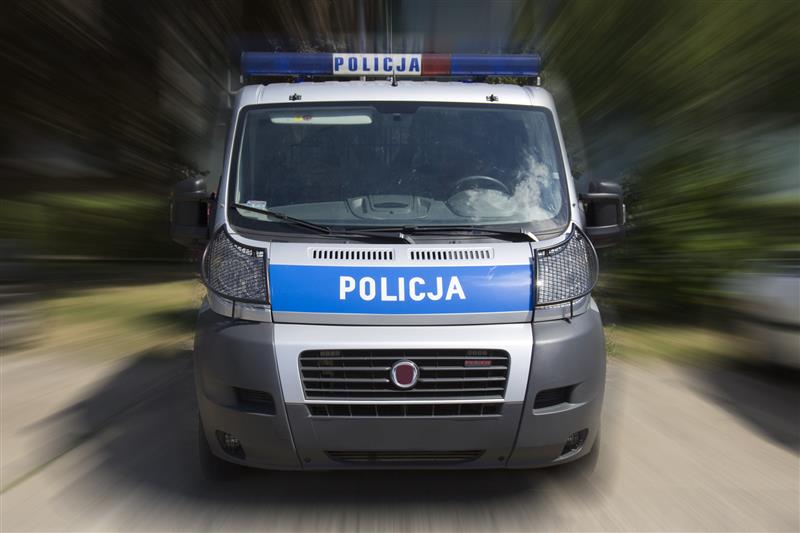 Pies dotkliwie pogryzł dziecko w Zambrowie - chłopiec trafił do szpitala