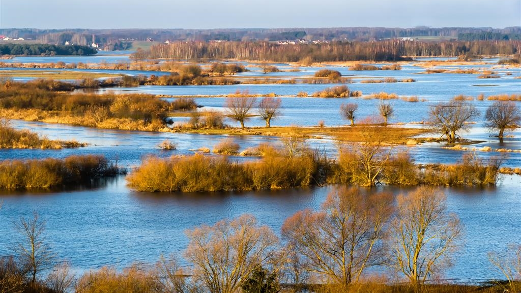 Duże rozlewiska nad Biebrzą - natura uzupełnia niedobory po suchych latach