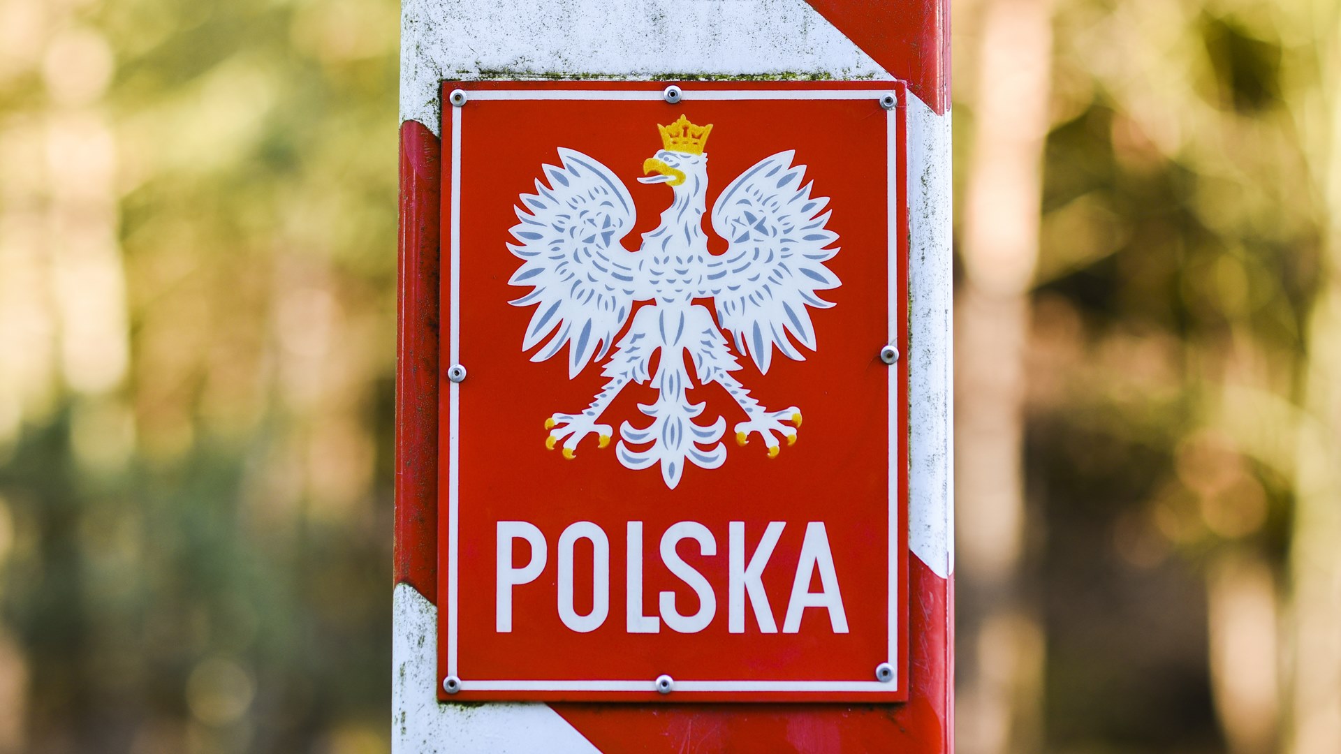 Podlaska Straż Graniczna zatrzymała dwóch Litwinów, którzy nielegalnie przekroczyli granicę
