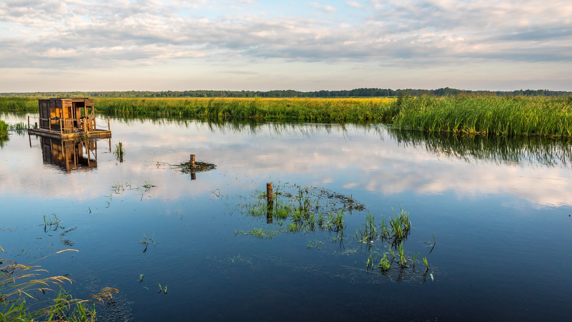 Biebrzańki Park Narodowy - największy w Polsce