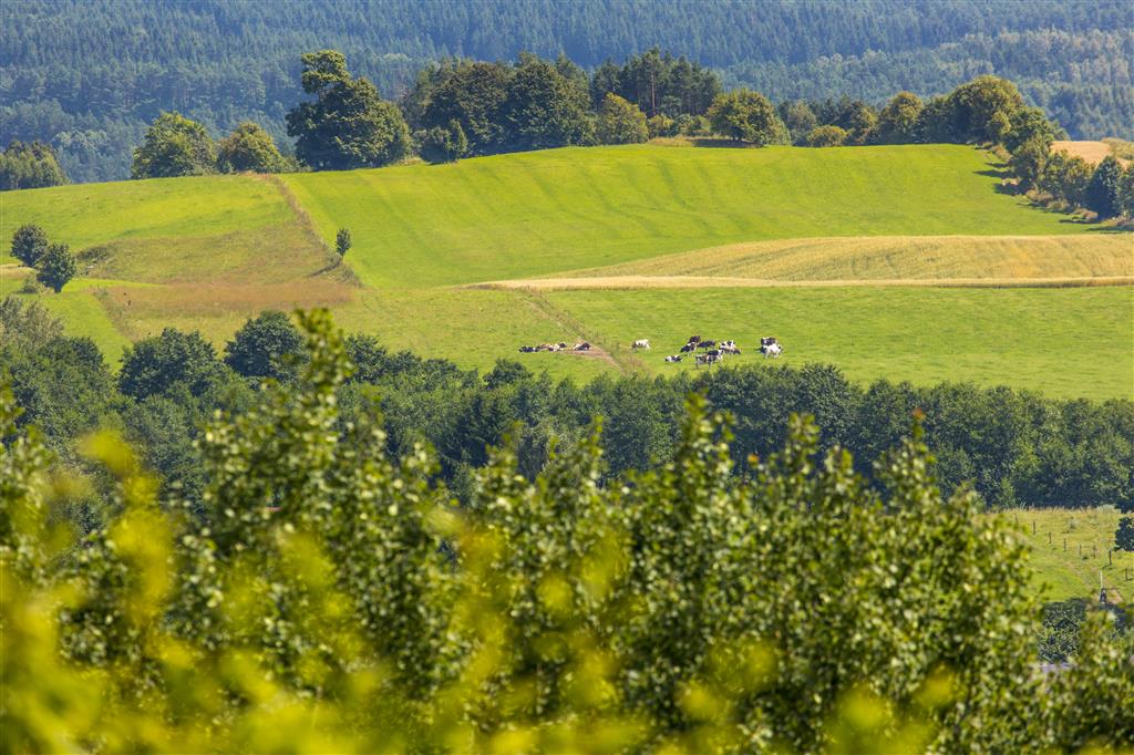 Podlasie w rankingu TOP 12 kierunków podróżniczych Polaków