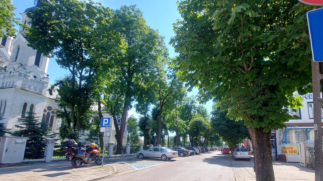 Kolejne zamieszane związane z kasztanowcami rosnącymi w Augustowie na ulicy Kościelnej