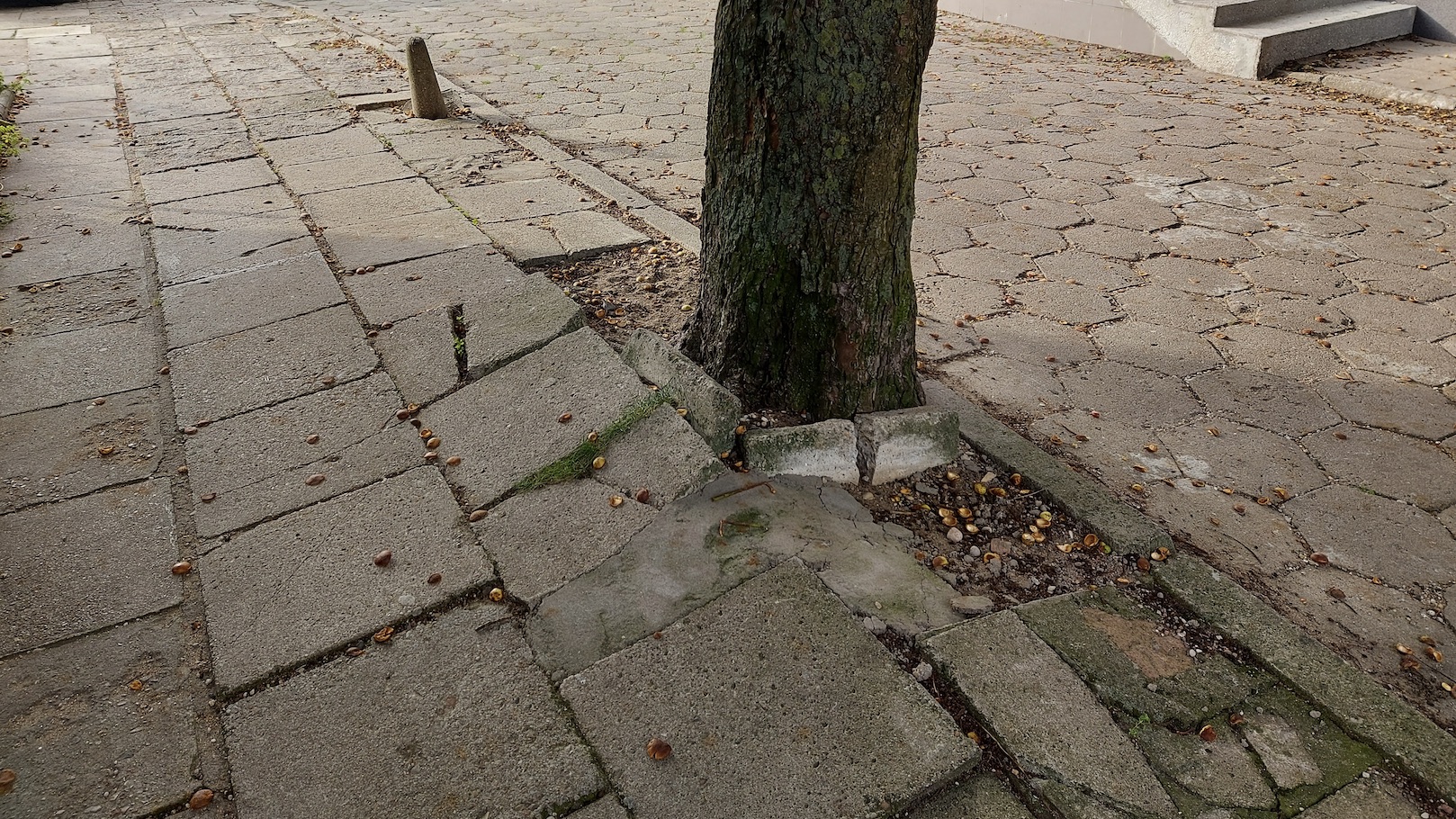 Mieszkańcy suwalskiego osiedla Centrum skarżą się na fatalny stan chodnika