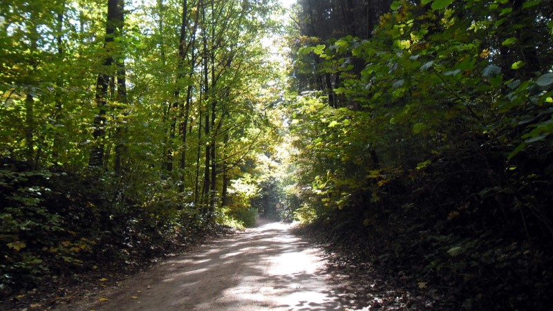 Długi weekend w parkach narodowych. Sprawdź, które szlaki są otwarte w regionie