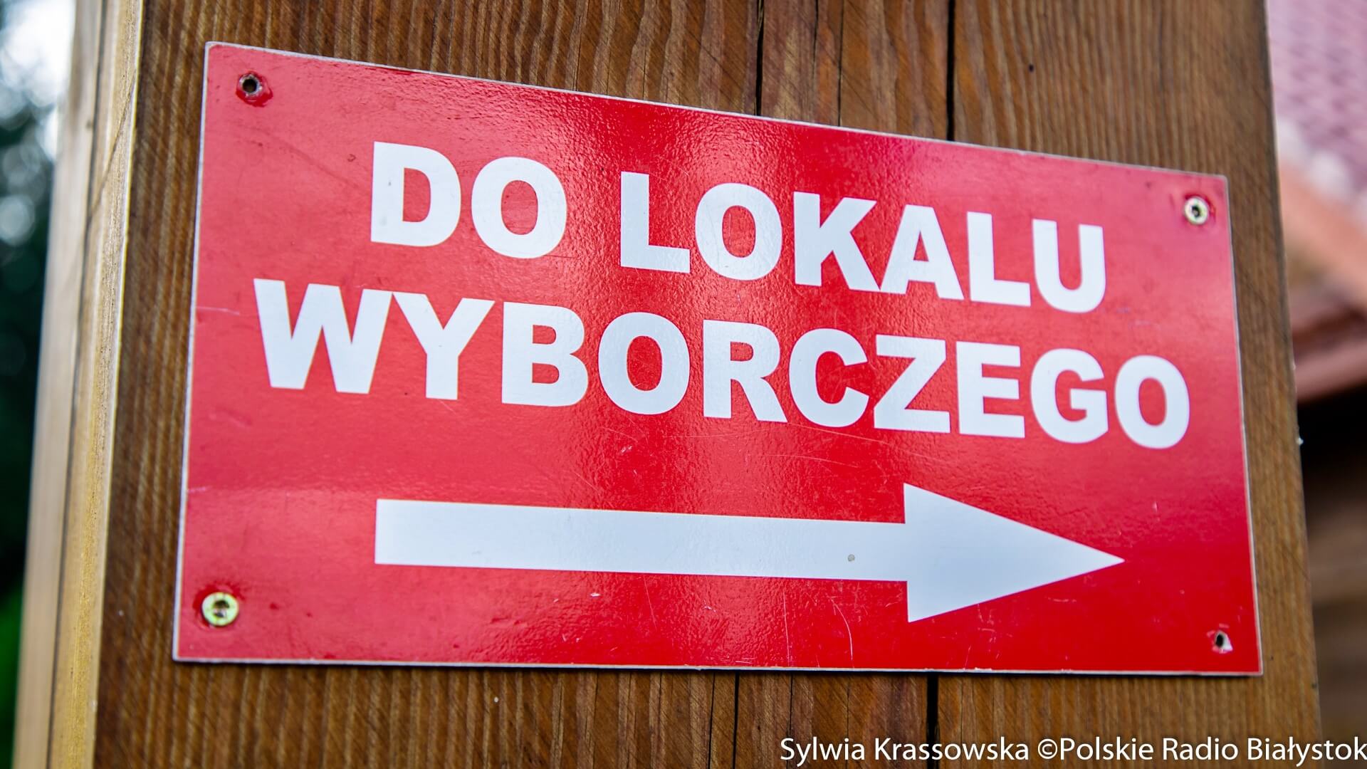 Kandydować każdy może - felieton Marka Gąsiorowskiego
