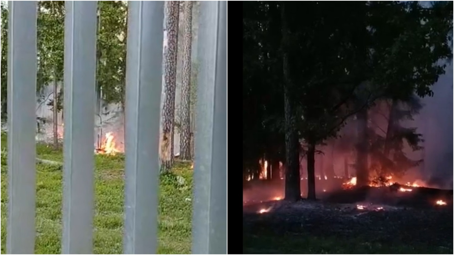 Pożar w Puszczy Białowieskiej - palił się las po stronie białoruskiej [wideo]