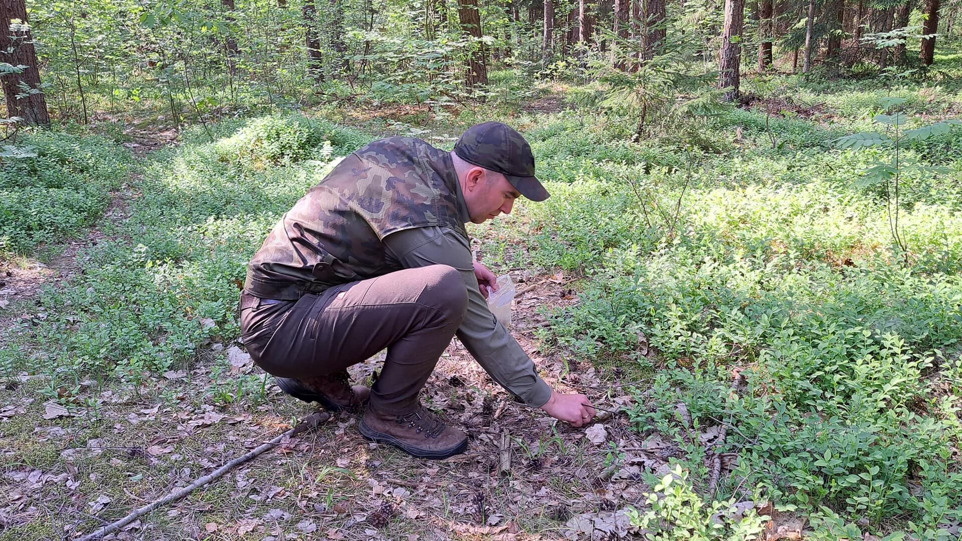 Leśnicy alarmują o wysokim poziomie zagrożenia pożarowego w większej części Podlasia
