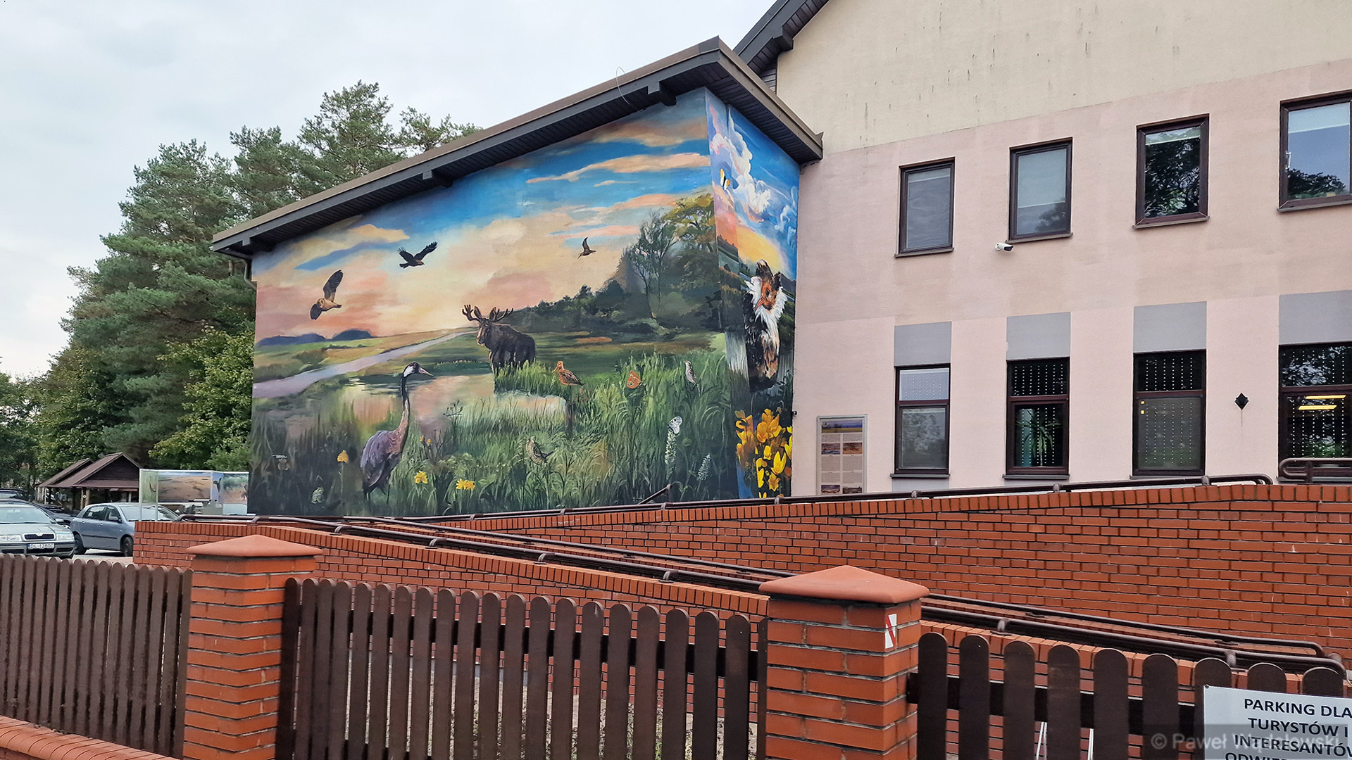 Mural, wystawa i doświadczenia naukowe na 30-lecie Biebrzańskiego Parku Narodowego