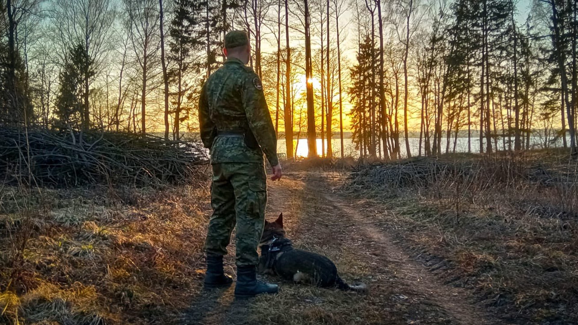 Na granicy z Litwą zatrzymano kolejnych kurierów i imigrantów