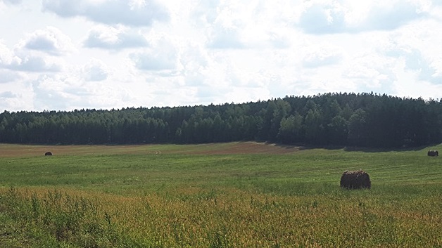 Brak śniegu i granica - zmartwienia na ferie podlaskich właścicieli kwater i hoteli