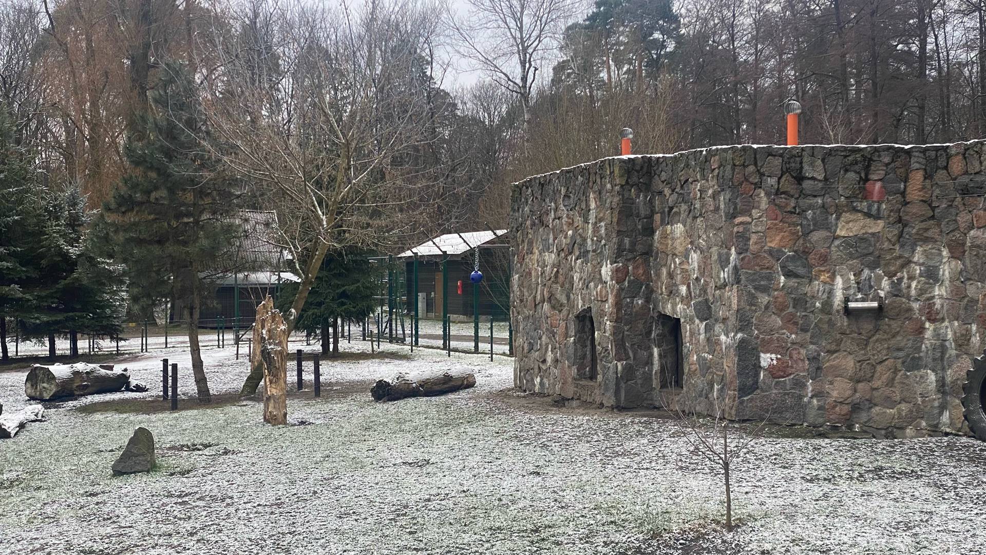 Zima tylko w kalendarzu, a jednak w białostockim Akcencie ZOO misie śpią