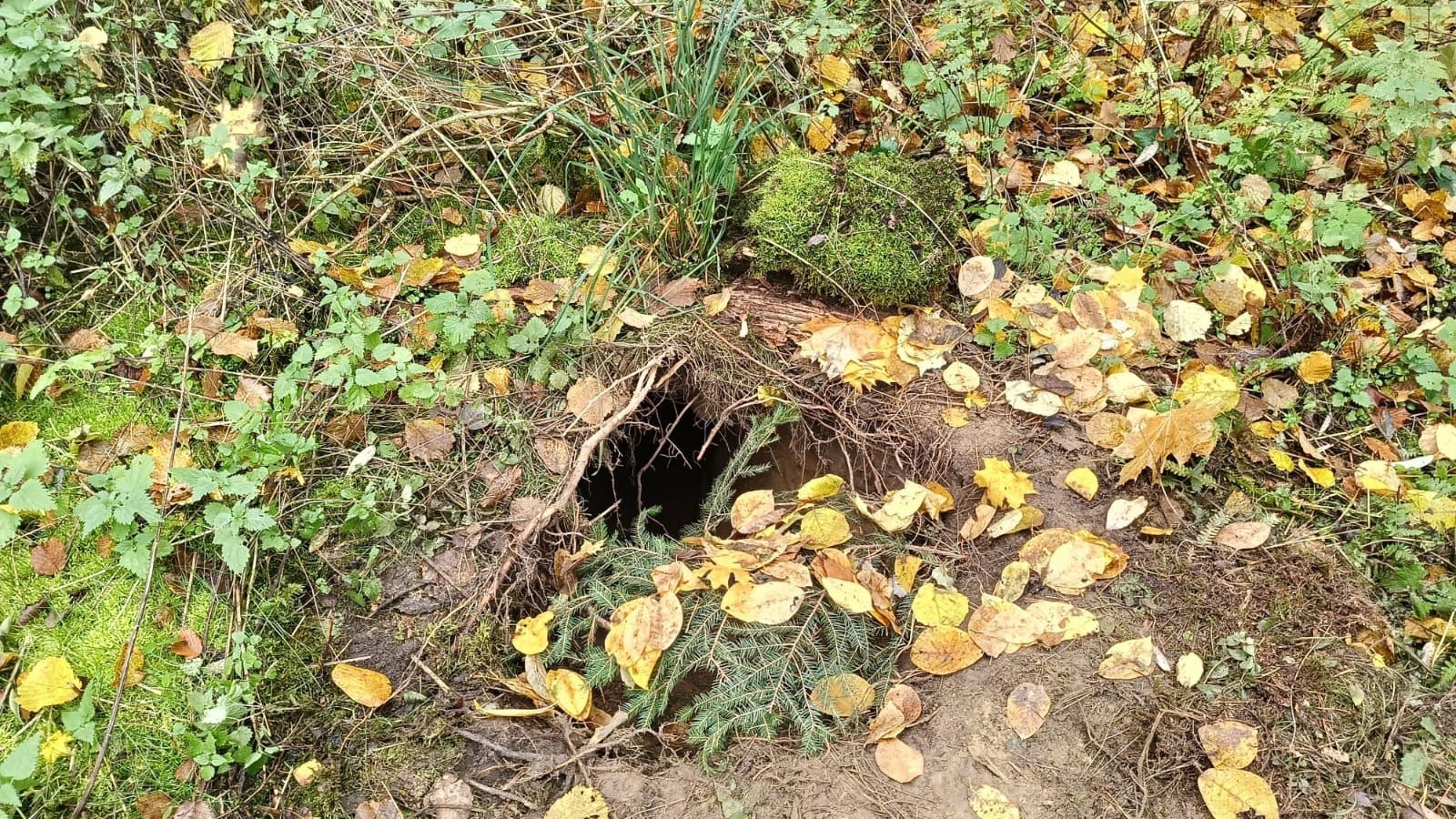 Kolejny tunel pod zaporą na granicy polsko-białoruskiej znaleźli strażnicy graniczni
