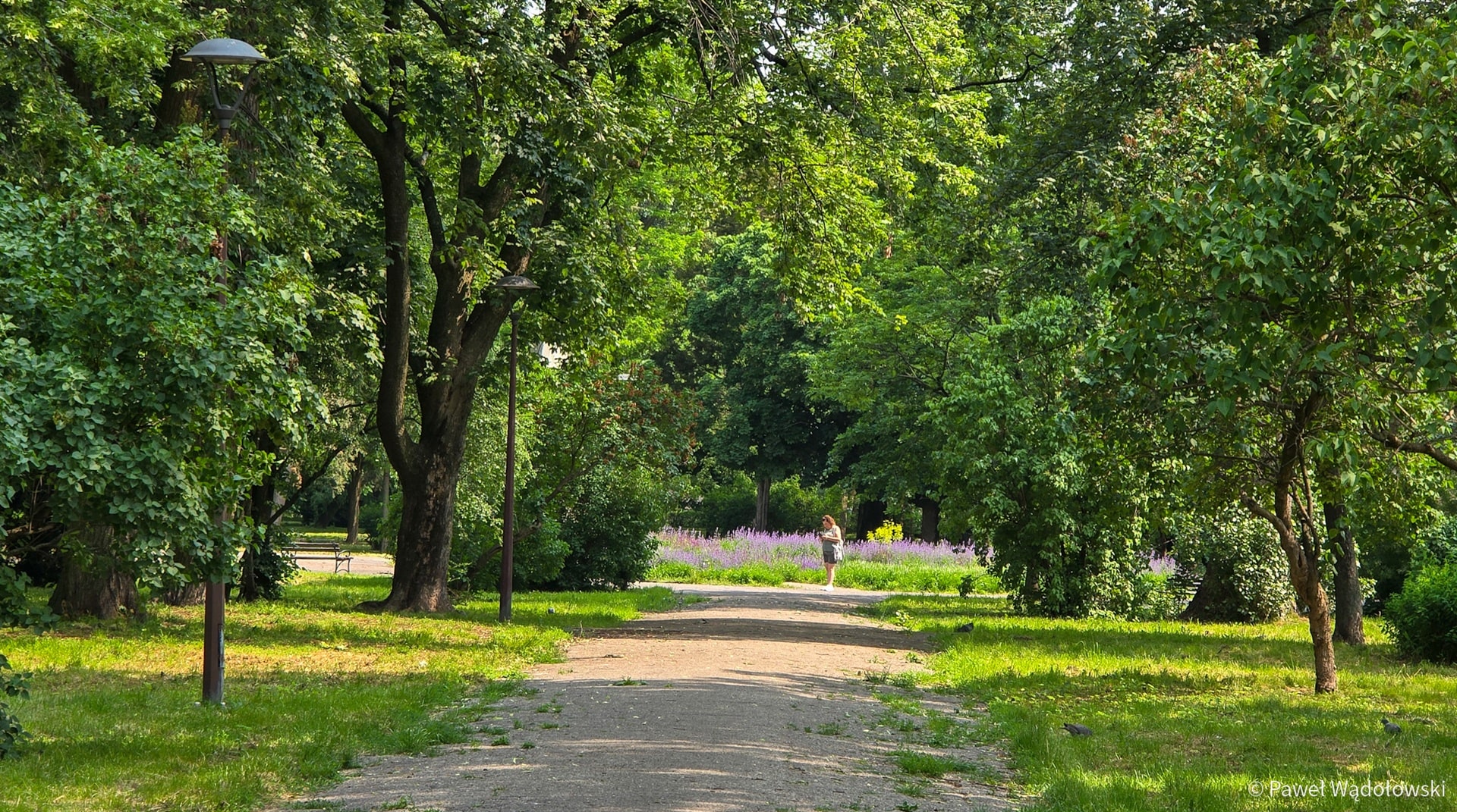 Park im. Jakuba Wagi w Łomży, fot. Paweł Wądołowski
