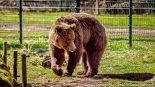 Bracia Chip i Dale - nowi mieszkańcy białostockiego Akcentu ZOO, fot. Sylwia Krassowska