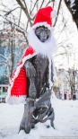 fot. Joanna Szubzda