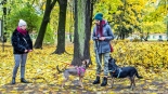Parada adopciaków na białostockich Plantach, fot. Sylwia Krassowska