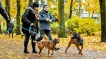 Parada adopciaków na białostockich Plantach, fot. Sylwia Krassowska