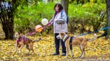 Parada adopciaków na białostockich Plantach, fot. Sylwia Krassowska
