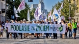 Marsz dla Życia i Rodziny, fot. Sylwia Krassowska