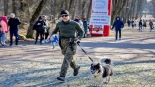 Bieg "Tropem Wilczym" w Białymstoku - ku pamięci Żołnierzy Wyklętych, fot. Sylwia Krassowska