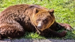 Bracia Chip i Dale - nowi mieszkańcy białostockiego Akcentu ZOO, fot. Sylwia Krassowska