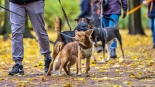 Parada adopciaków na białostockich Plantach, fot. Sylwia Krassowska