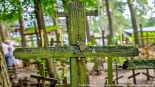 Uroczystości święta Przemienienia Pańskiego na Świętej Górze Grabarce, 18.08.2024, fot. Sylwia Krassowska