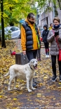 Parada adopciaków na białostockich Plantach, fot. Sylwia Krassowska