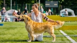 XVI Międzynarodowa Wystawa Psów Rasowych w Białymstoku, fot. Sylwia Krassowska