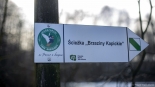 fot. Paweł Wądołowski