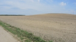 fot. Adam Dąbrowski
