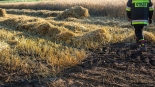 Pożar w miejscowości Brulin koło Śniadowa, 19.07.2024, fot. Paweł Wądołowski