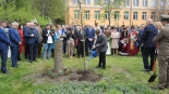 fot. Adam Dąbrowski